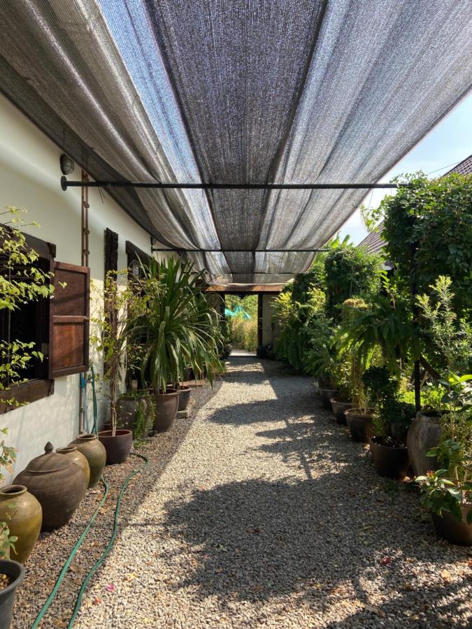 Mintys Folly 2 - B&B