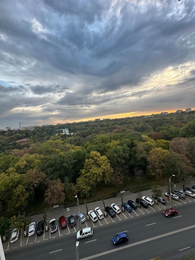 Park Lake View Apartment Tineretului - B&B