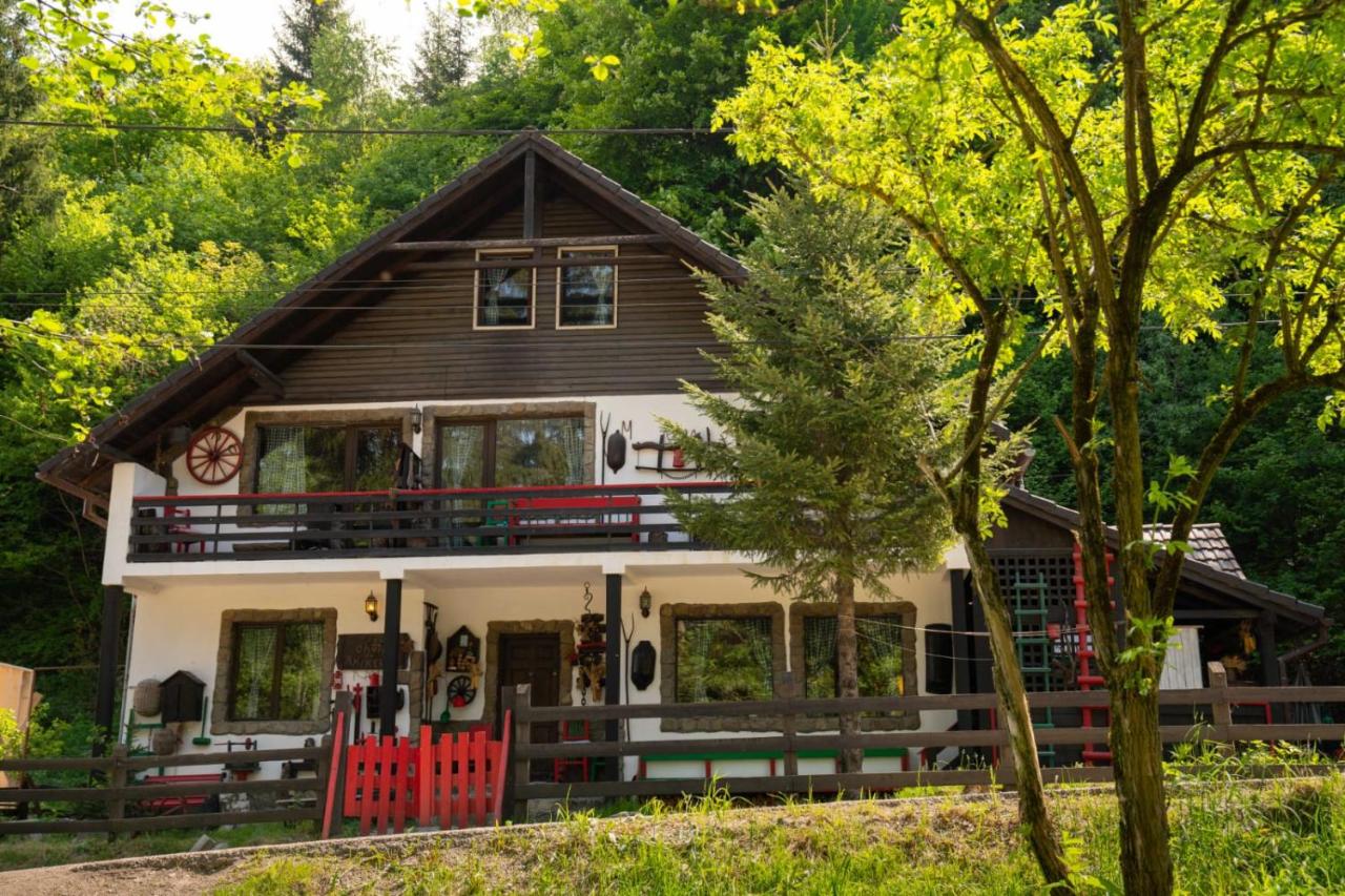Casa cu Amintiri - Authentic Cozy Cottage - B&B Bran