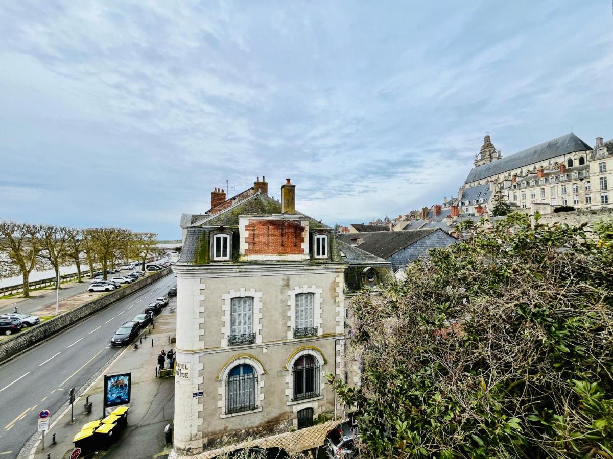 Hypercentre, spacieux, lumineux, climatisé, le Quai de Loire - Chambres d'hôtes Blois