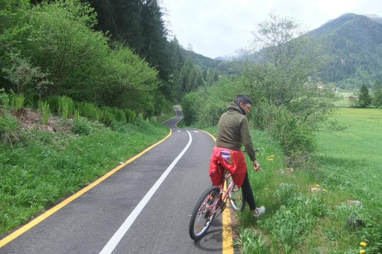 Cevedale-Valdisole - B&B Malé