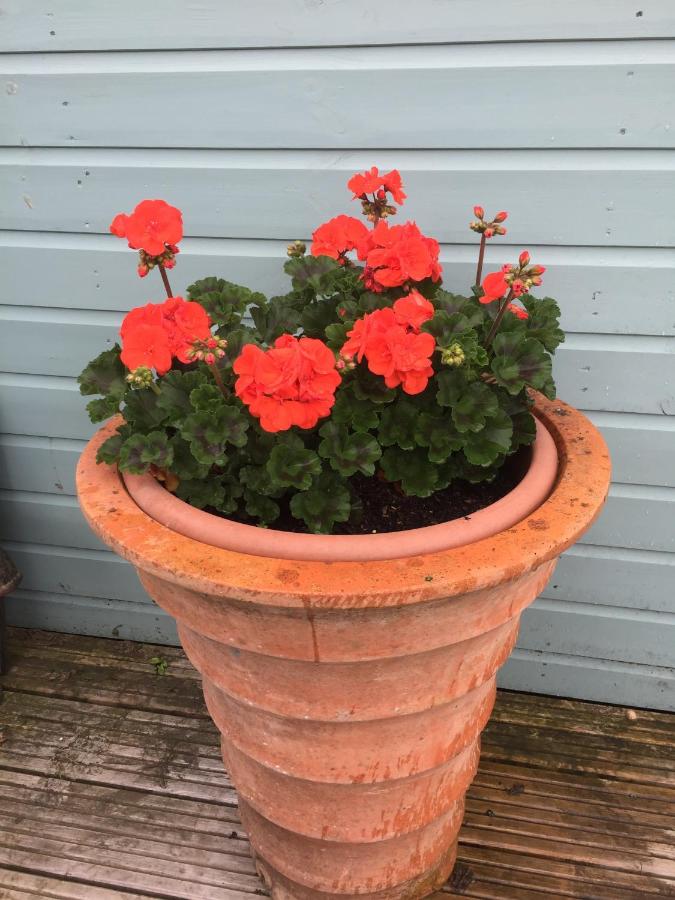 Basingstoke En Suite Room in Garden Annex - Ferienwohnung Basingstoke
