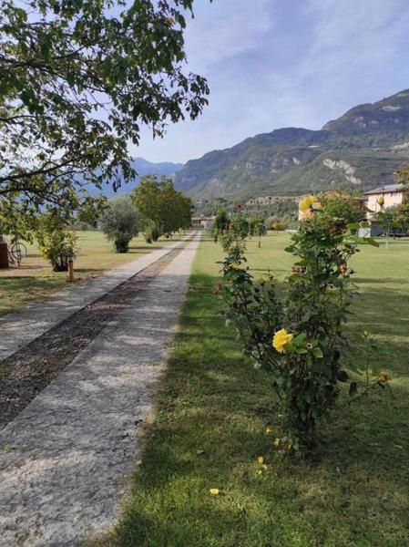 Residence Salvadori - Ferienwohnung Rovereto