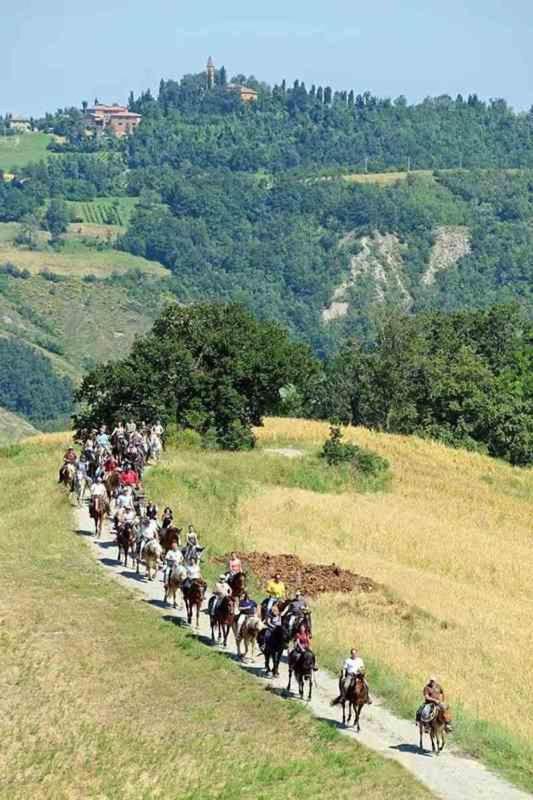 Villetta immersa nel verde - B&B