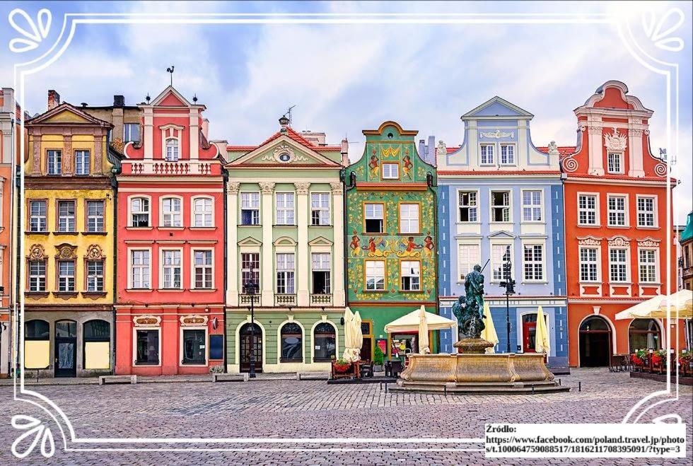 Piekary Residence in the Center - 19 - Bed and Breakfast