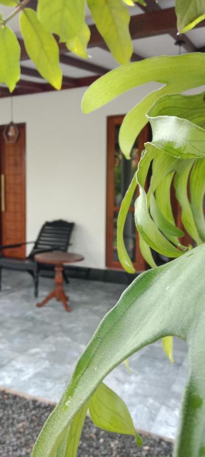 Villa Amore - B&B