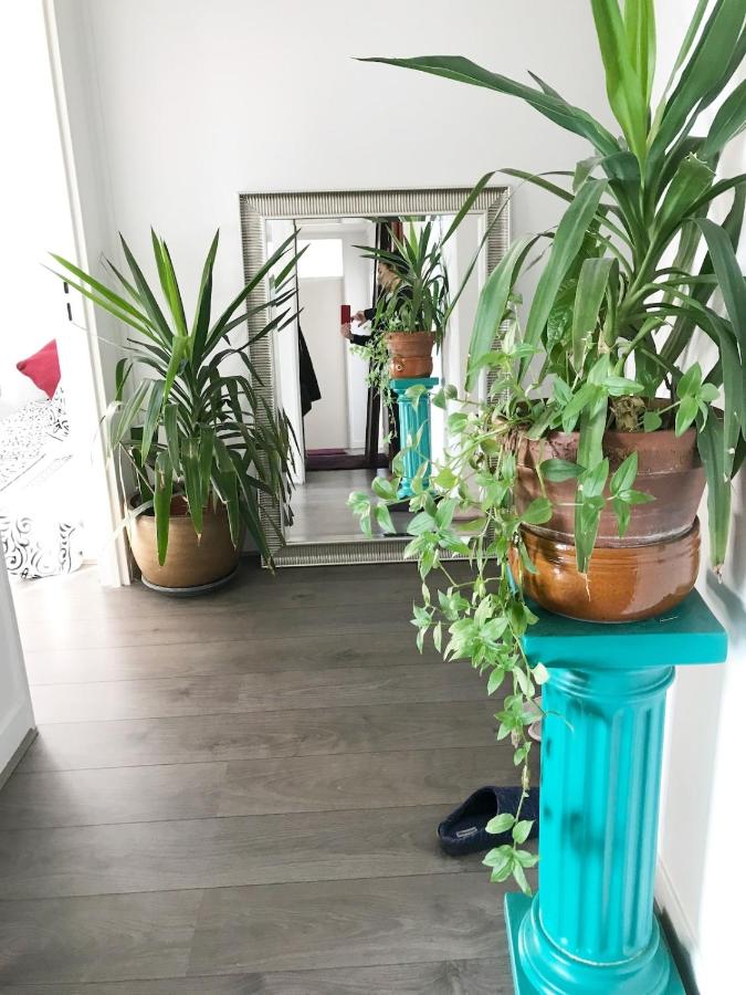Nice place 80m2- 2 to 8 beds- 30min from Paris 15min Aeroport Orly - Chambres d’hôtes