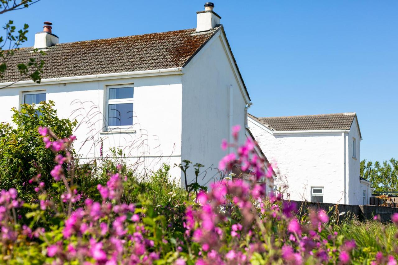 Little Avalon, a traditional Cornish cottage for couples with modern comforts - B&B Budock Water