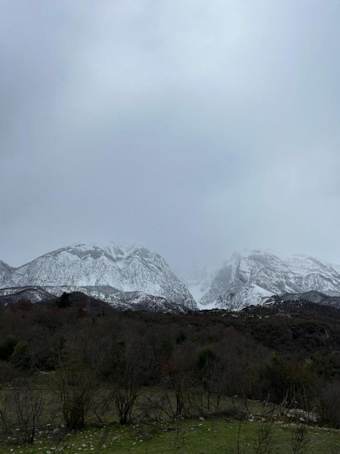 Doppelzimmer mit Bergblick