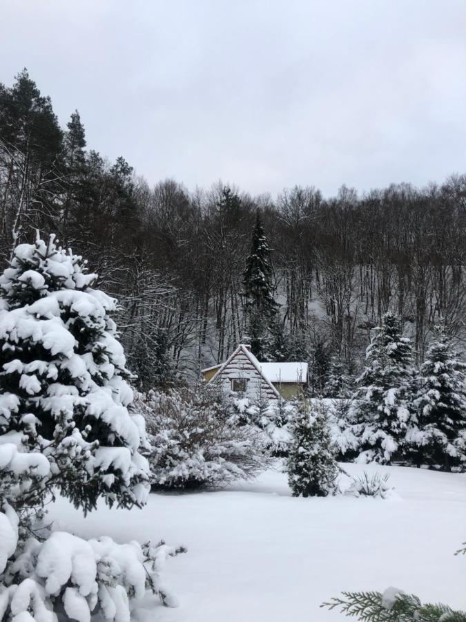 Zielony Zakątek - B&B Łubno