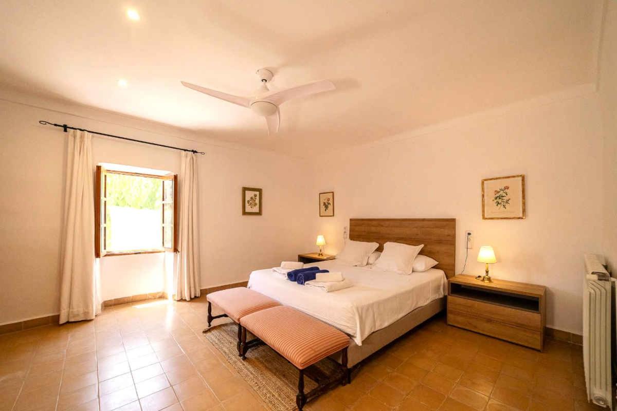 Appartamento Monolocale