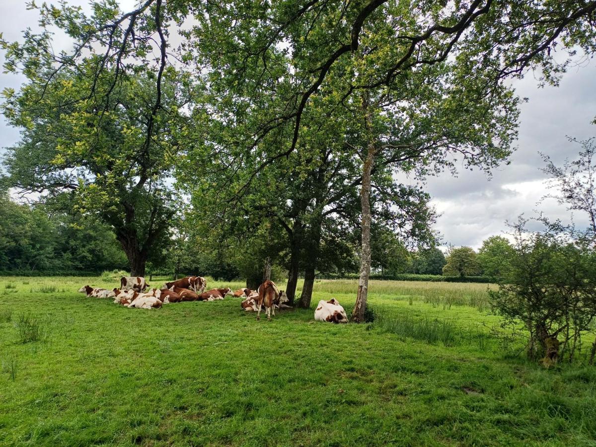 grande maison à la ferme - Ferienwohnung