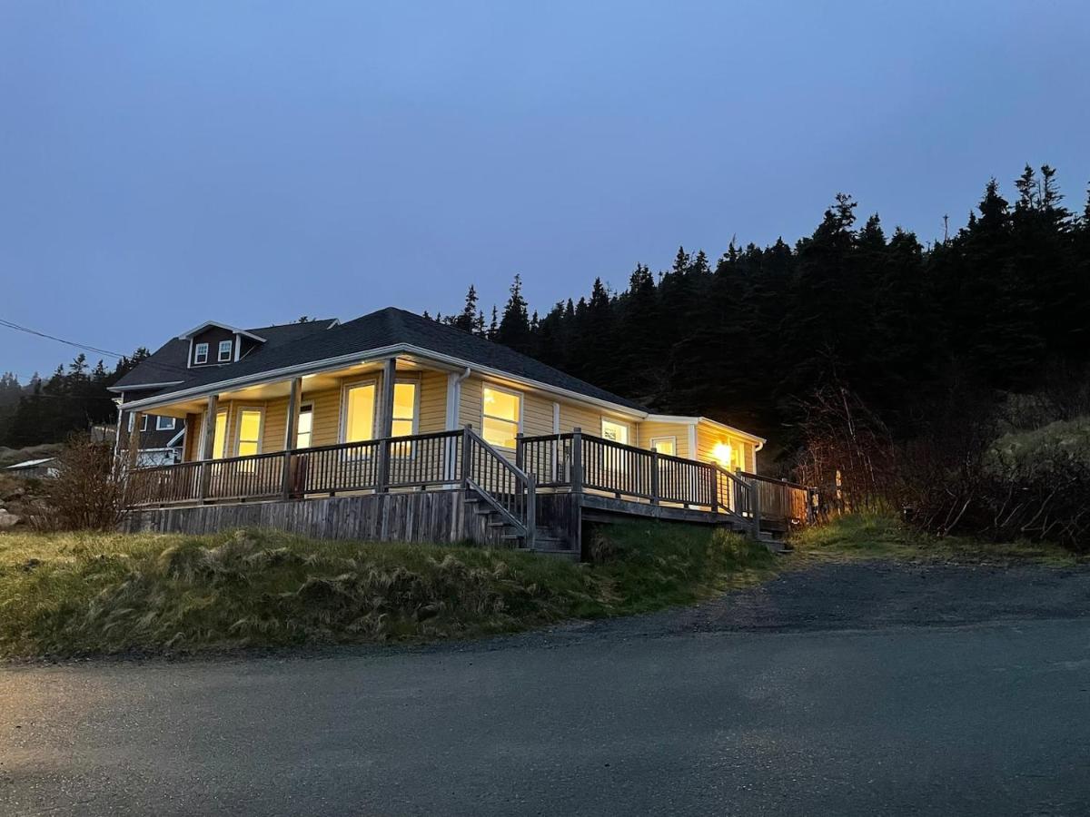 Bay Bulls Waterfront Steps Totrail & Boat Tours! - B&B