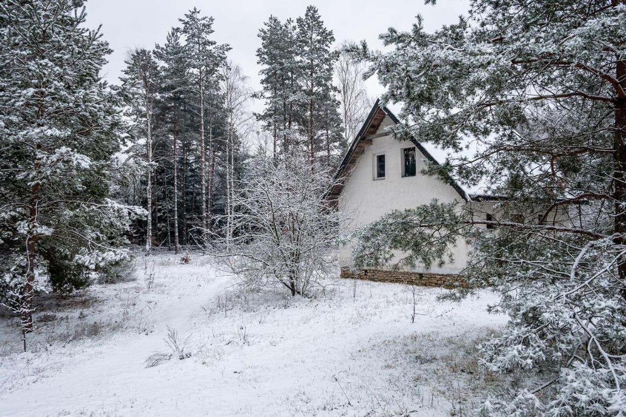 Zielona Perspektywa Agroturystyka - B&B Huta Różaniecka