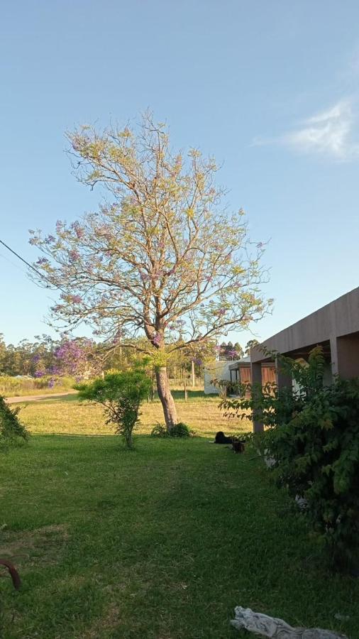 Santa Elena Casa de campo depto 2 - B&B Federación