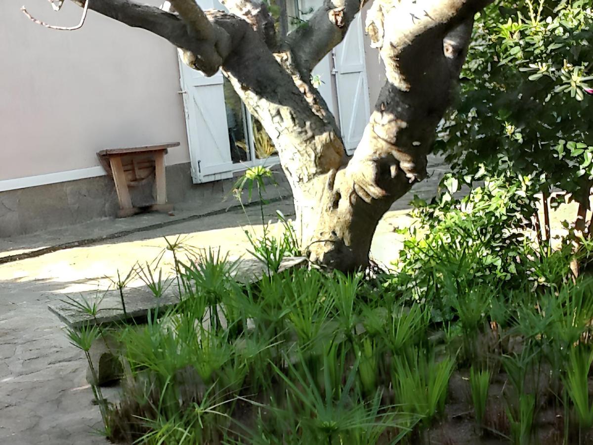 Appartement confortable à Hyères avec terrasse - B&B