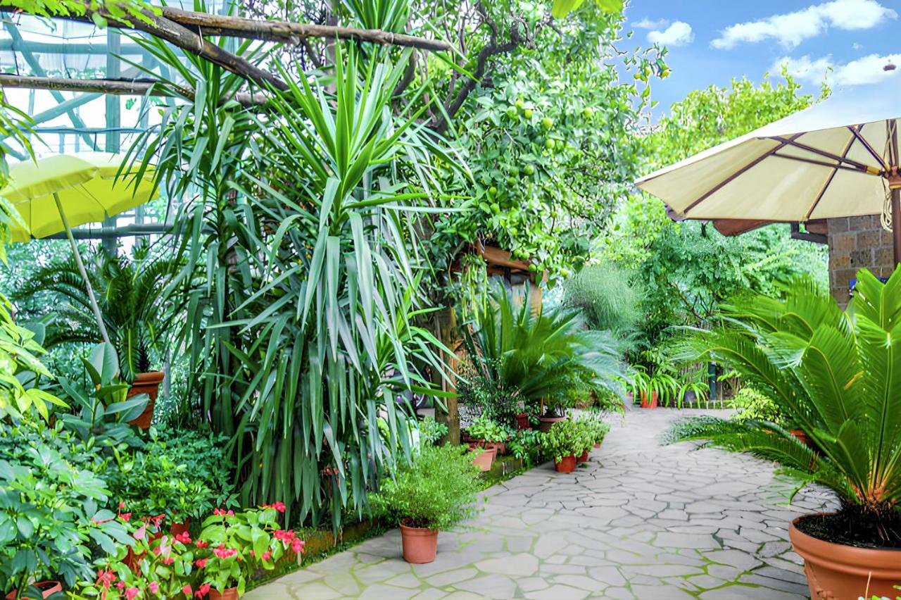 Charming Studio with Sea View in Sorrento - 35 sqm + Terrace - Ferienwohnung