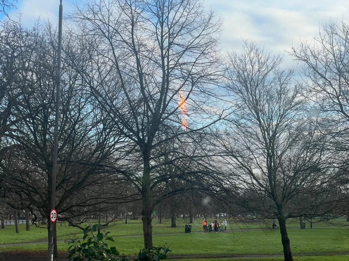 Common View - B&B London