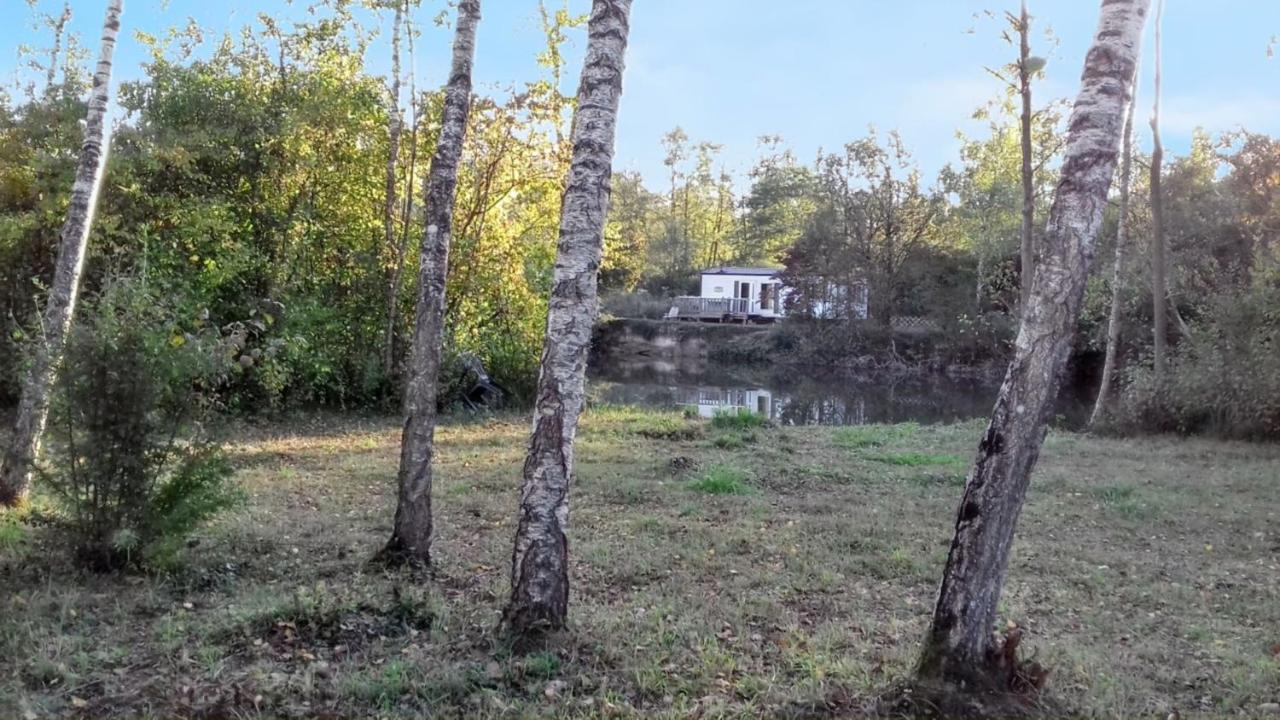 Bungalow accueillant à Saint-Hilaire, 33 m², piscine partagée ! - B&B