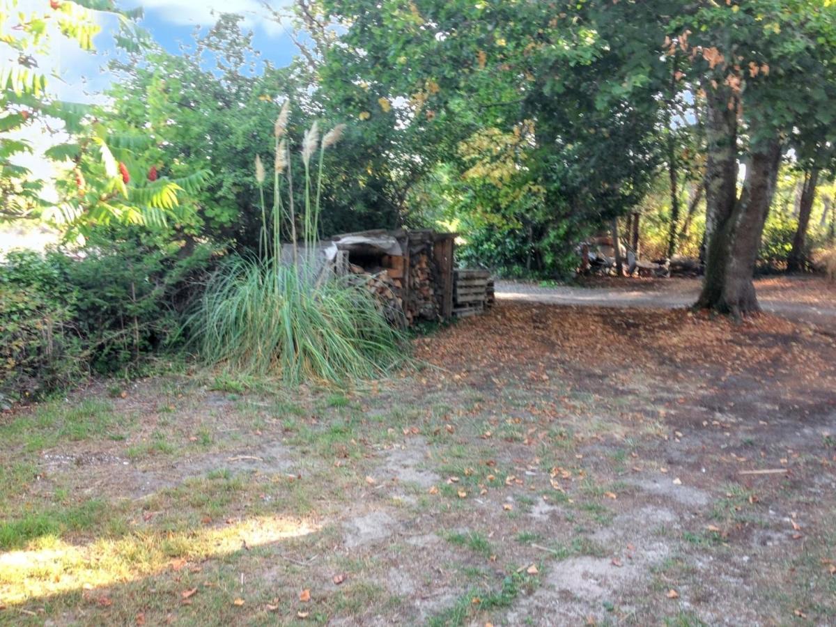 Charmant chalet à Sanguinet avec jardin et terrasse - B&B