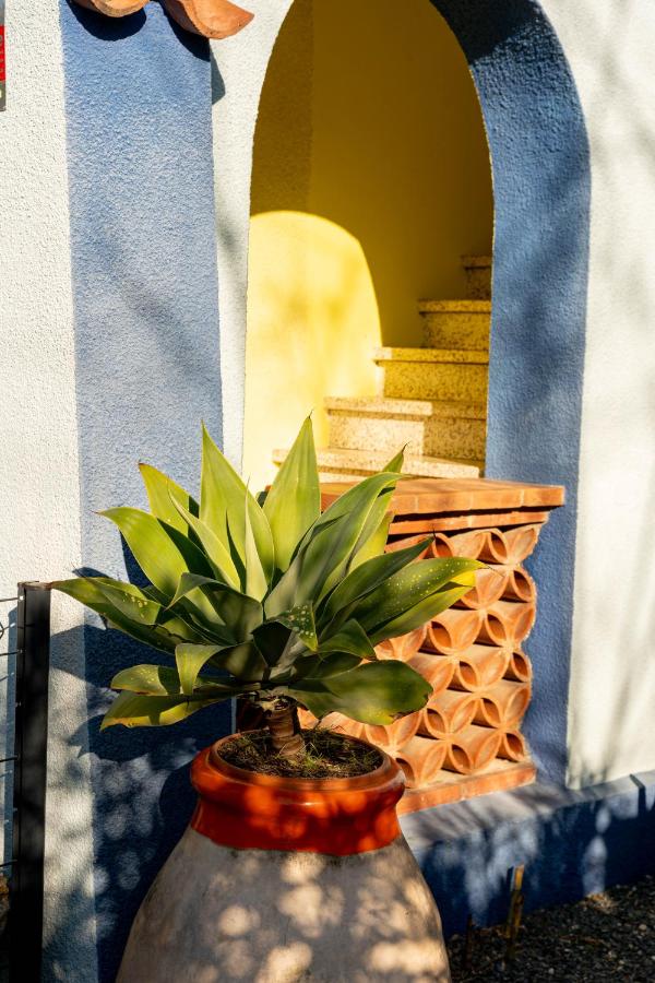 Appartement avec piscine et jacuzzi à 50mètres de la plage et 5min de l'allée des Pins - B&B