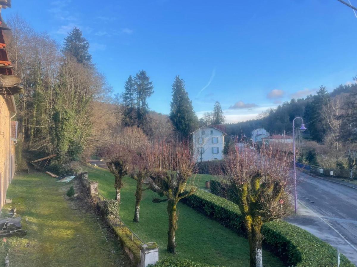 Murmure de la Forêt - B&B