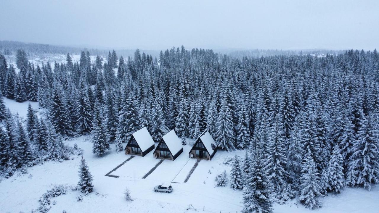 Wild Lodges - Chambres d’hôtes