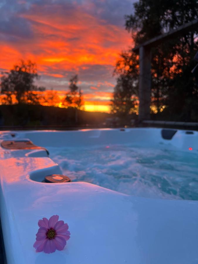 Charmig liten stuga i Södertälje/ Kungsdalen - B&B