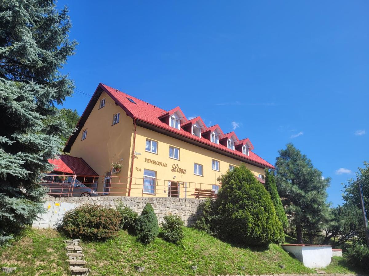Pensjonat Lissa - Ferienwohnung