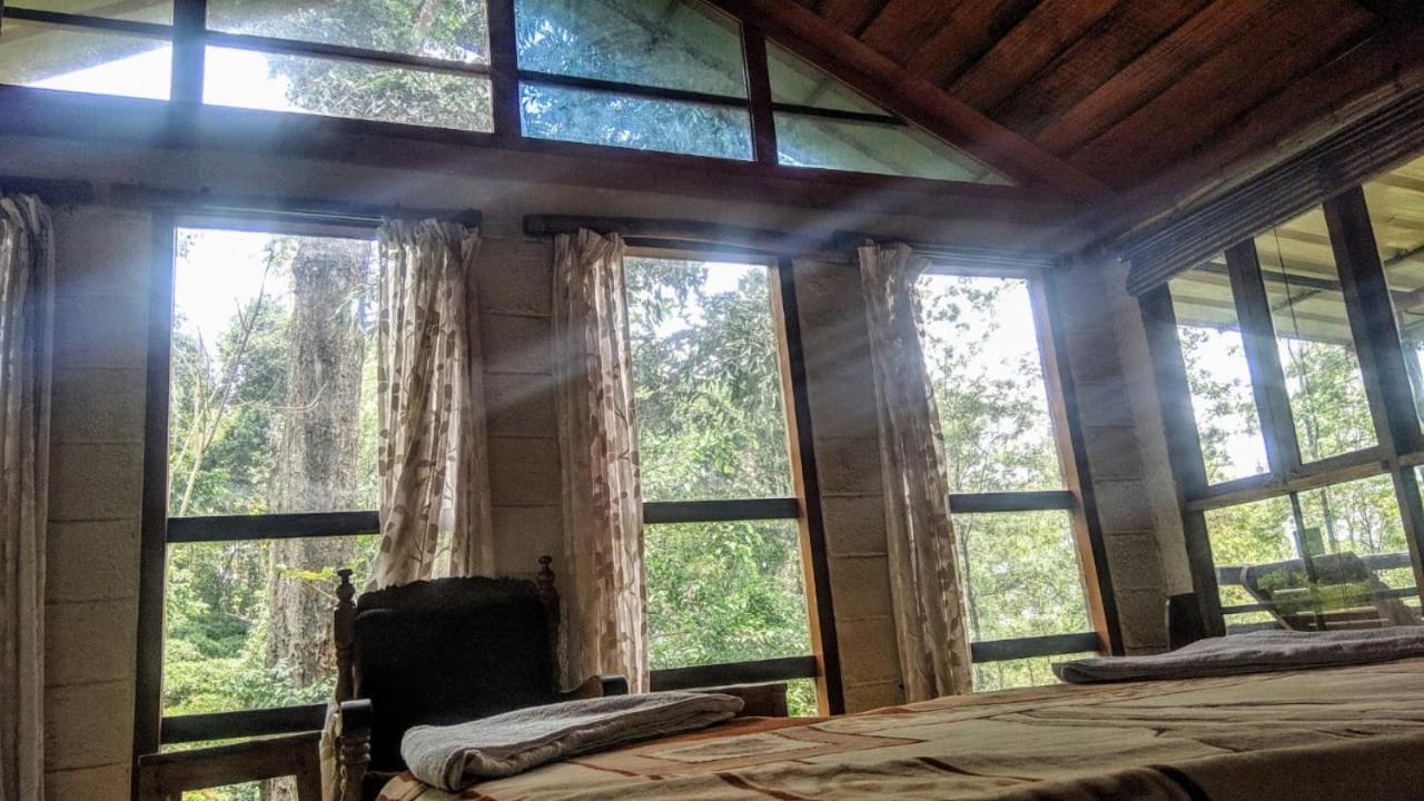 Family Room with Mountain View