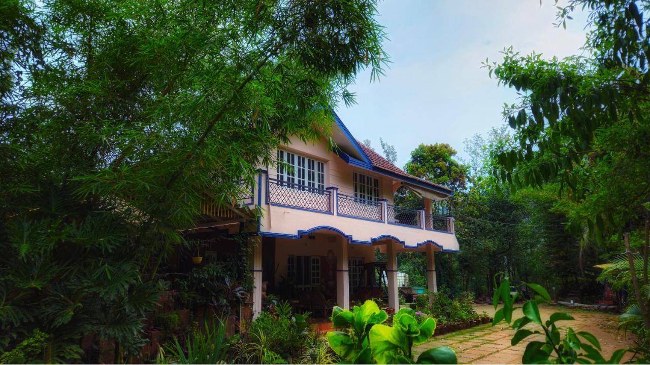 Devigiri Homestay and Resort - B&B