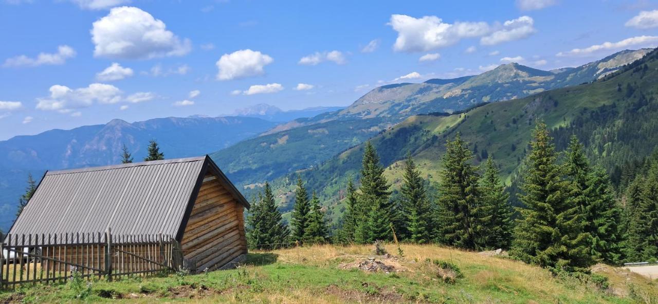 Goca Čakorski Konaci - B&B