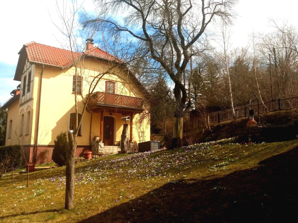 Ferienwohnung Friesenblick - Bed and Breakfast Reichenbach/Vogtland