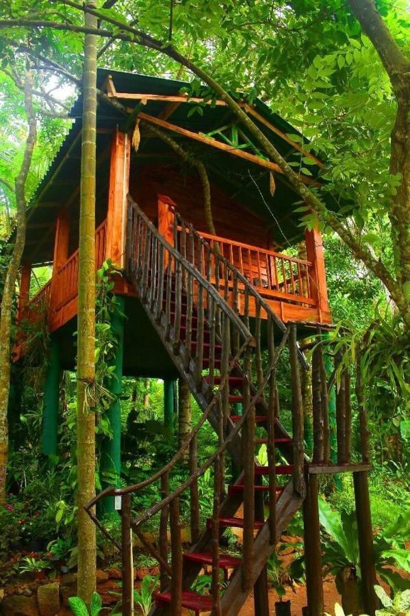 Double or Twin Room with Balcony