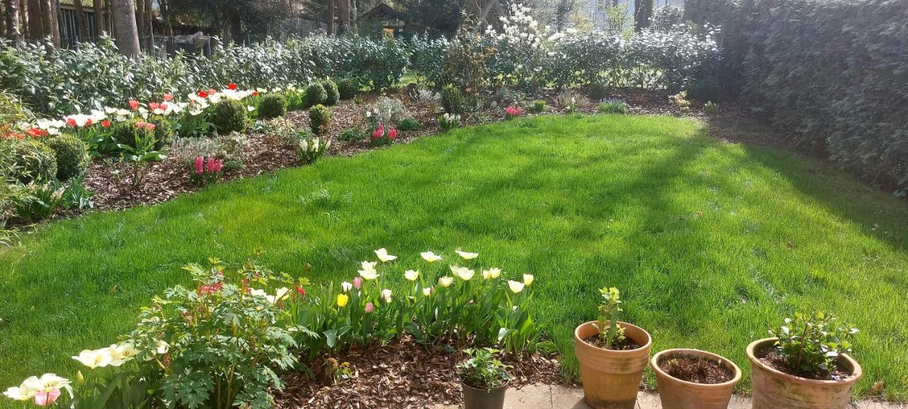 Sunny garden flat in Munich - Ferienwohnung München