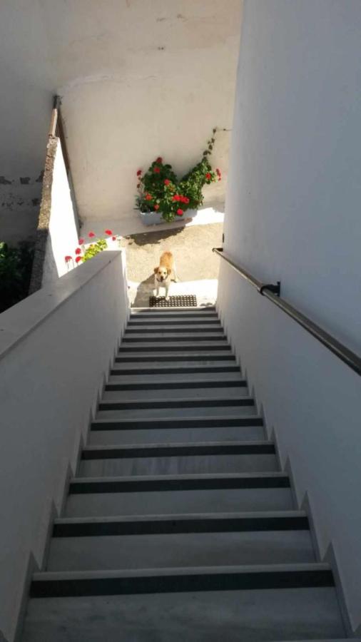 Monolocale con Vista Mare 