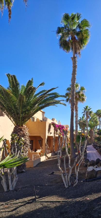 Casa surf Oasis - B&B