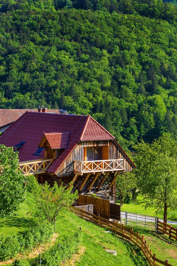 Farm Stay Pirc - Hayloft Apartment - B&B Laško