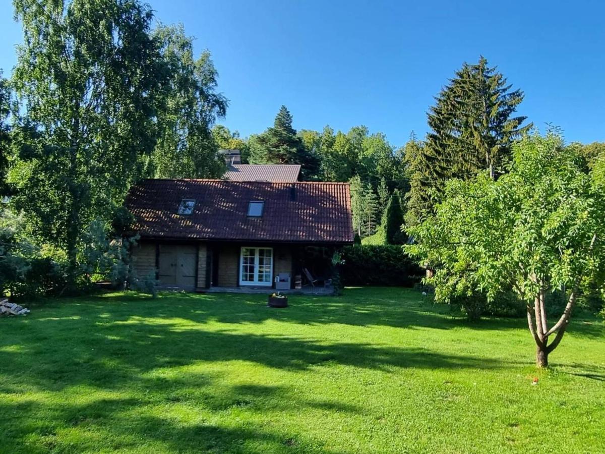Family Studio