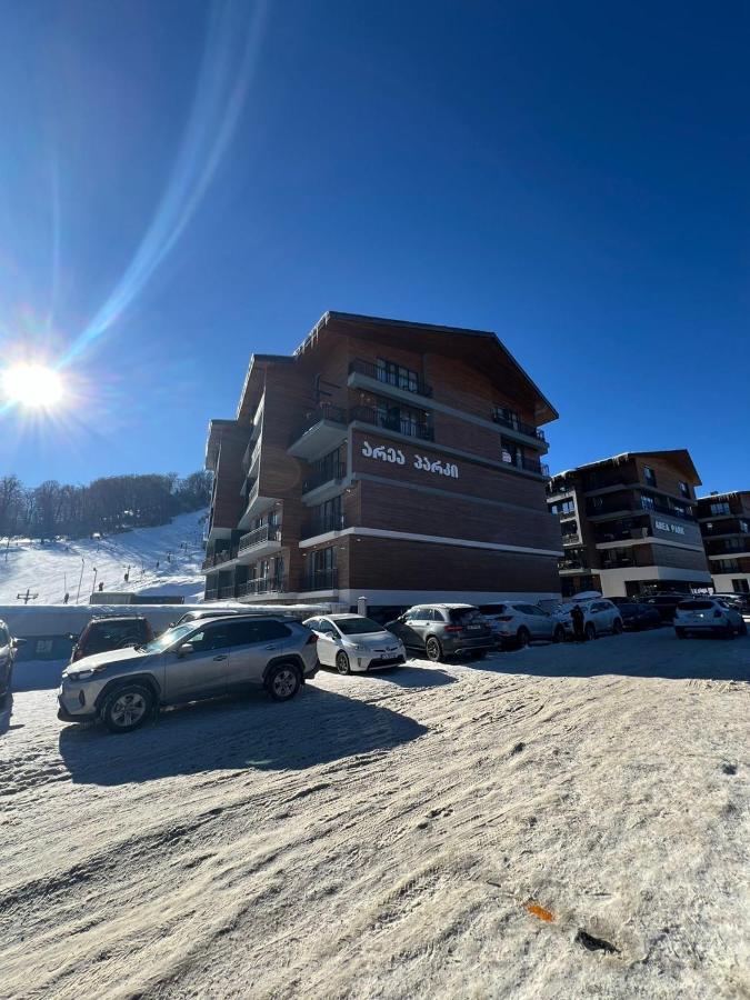 Area Park 103 - B&B Bakuriani