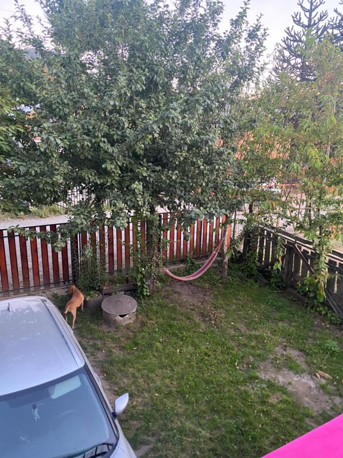 Arriendo casa en NELTUME a minutos de huilo-huilo - B&B
