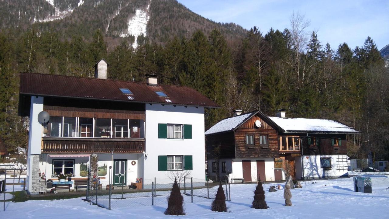 Ferienwohnung Stricker - B&B Obertraun