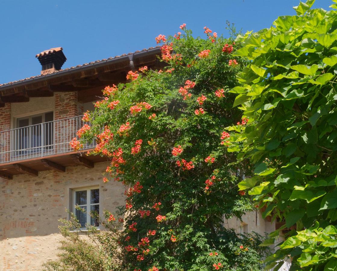 La Carpa e la Calendula - Appartamenti Vacanze - B&B