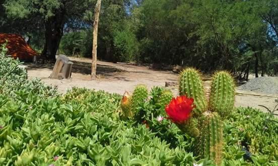 Las Tinajas de San Carlos - B&B