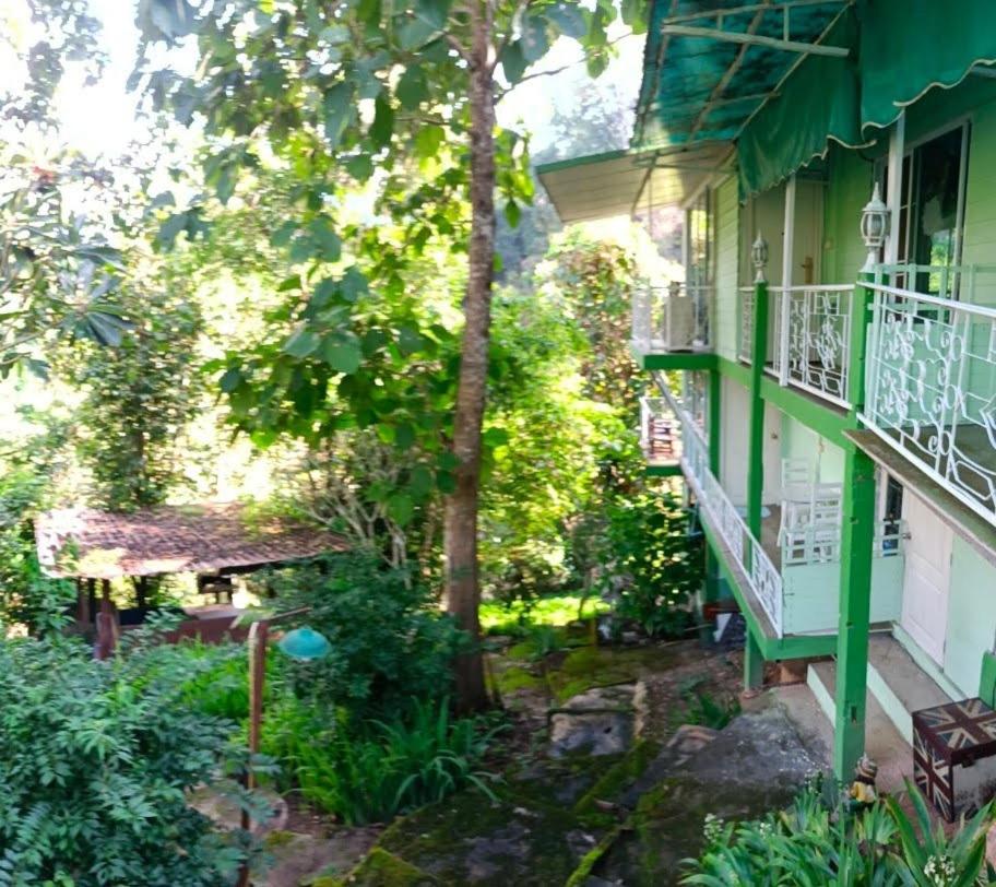 Balmy Hideout Cafe'& Homestay - B&B