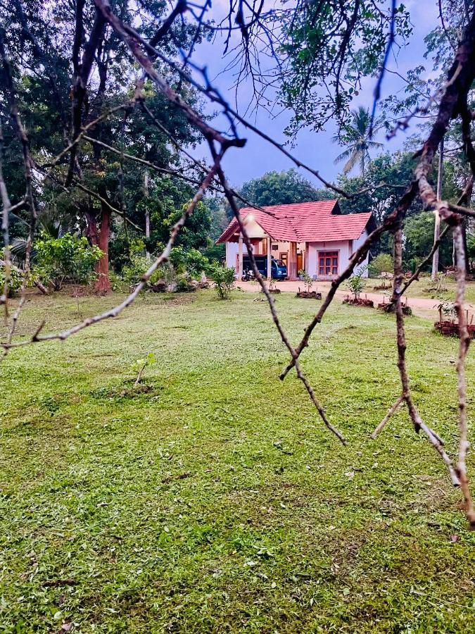 Walawwa Eco-Lodge 에코-롲지 - Bed and Breakfast