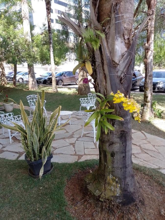 Lugar encantado - Apartamento - B&B Brasília