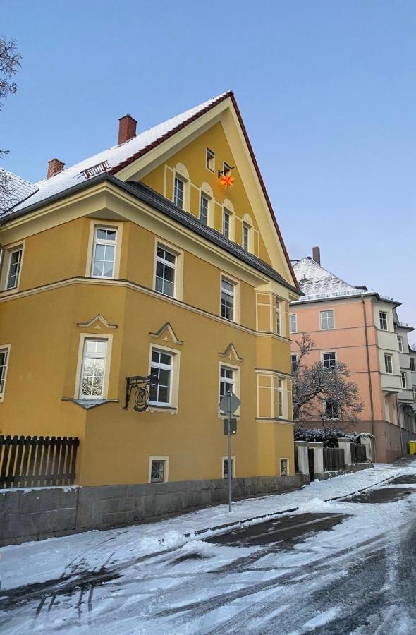Wohnen in der alten Max Selbmann Villa - Ferienwohnung