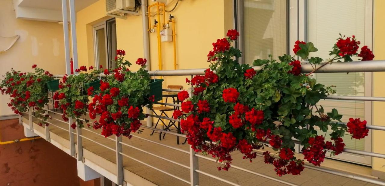 Suite mit Terrasse