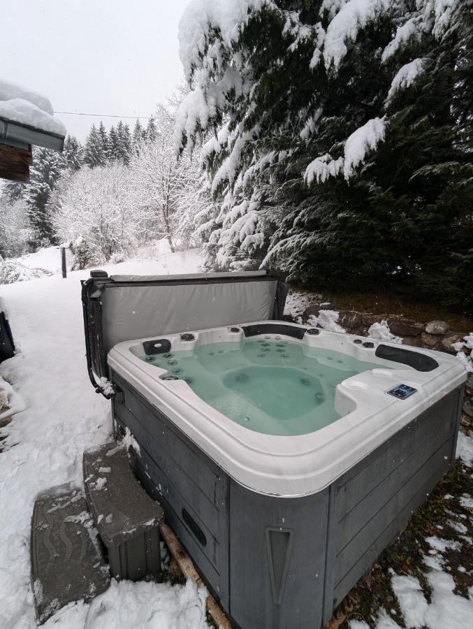 Grange 1767 - vue imprenable - proche SAMOËNS/MORRILON - B&B